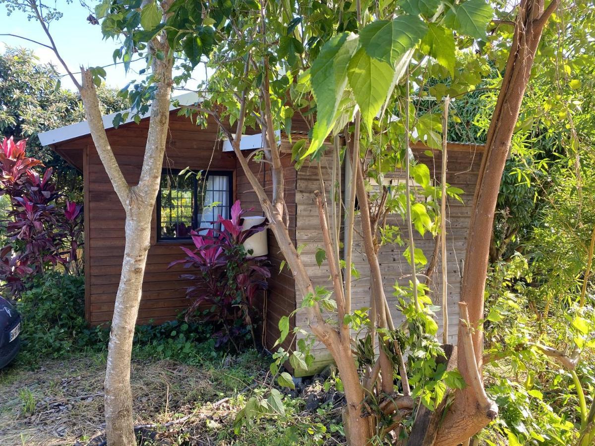 Chalet Pittoresque A Le Tampon, Vue Mont. ภายนอก รูปภาพ